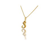 Seahorse