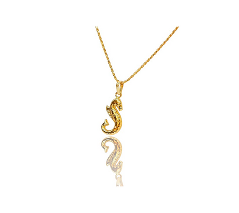 Seahorse