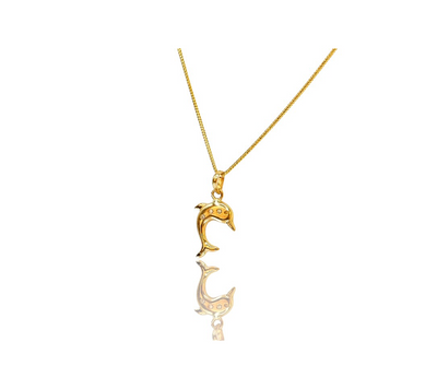 Dolphin Figure 01