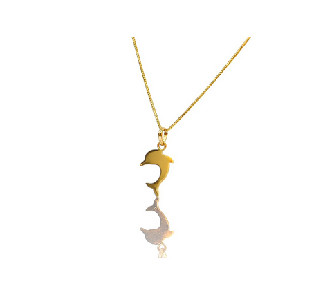Dolphin Figure 01
